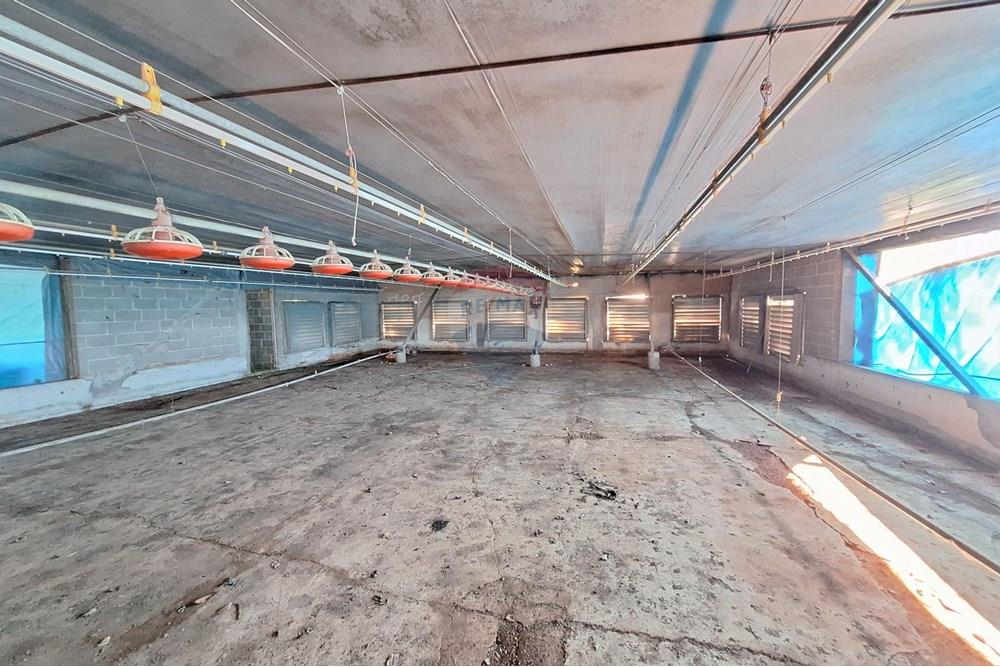 Chácara / Sítio / Fazenda - Venda - Itapira , São Paulo - 20250626_094748.jpg - 690751048-290