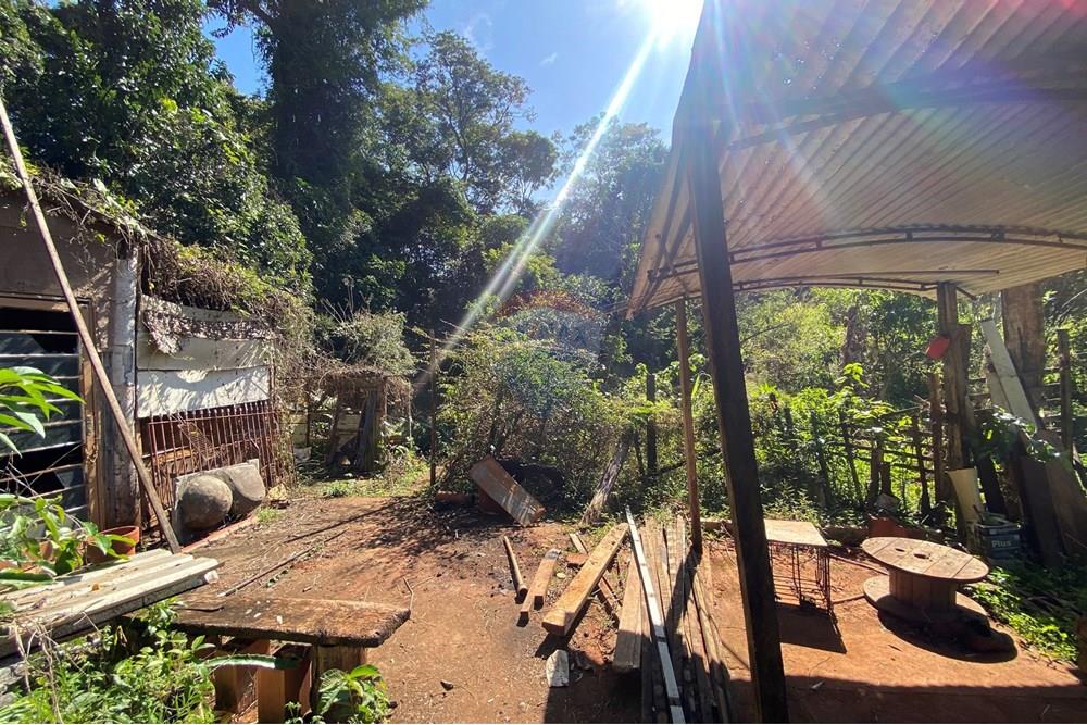 Terreno - Venda - Mogi Mirim , São Paulo - IMG_6556.JPEG - 690281041-98