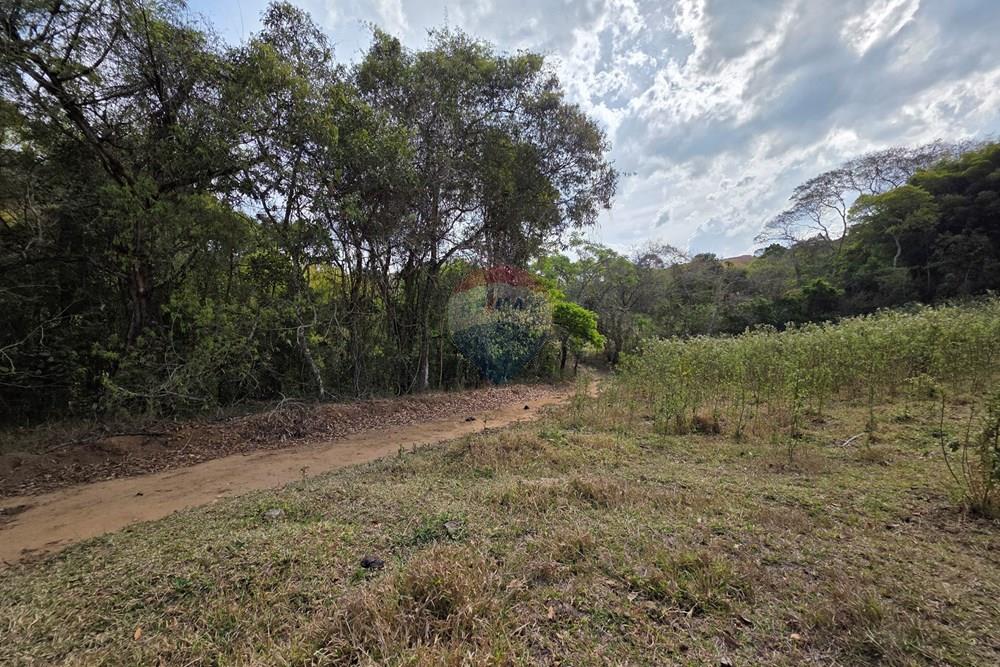 Terreno - Venda - Camanducaia , Minas Gerais - 20250919_143835.jpg - 690041041-51