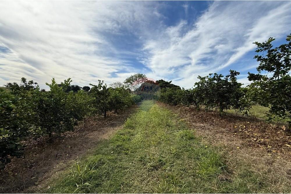 Chácara / Sítio / Fazenda - Venda - Itapira , São Paulo - WhatsApp Image 2025-07-07 at 10.48.34 (1).jpeg - 690521014-143