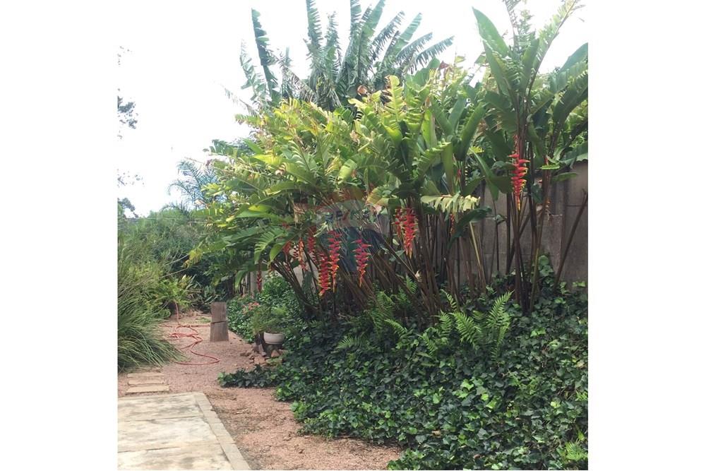 Chácara / Sítio / Fazenda - Venda - Jundiaí , São Paulo - FOTO ANA LAURA 29.jpeg - 690361043-2