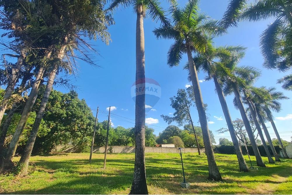 Agro - Alugar - Artur Nogueira , São Paulo - 20251120_155201.jpg - 690671009-93