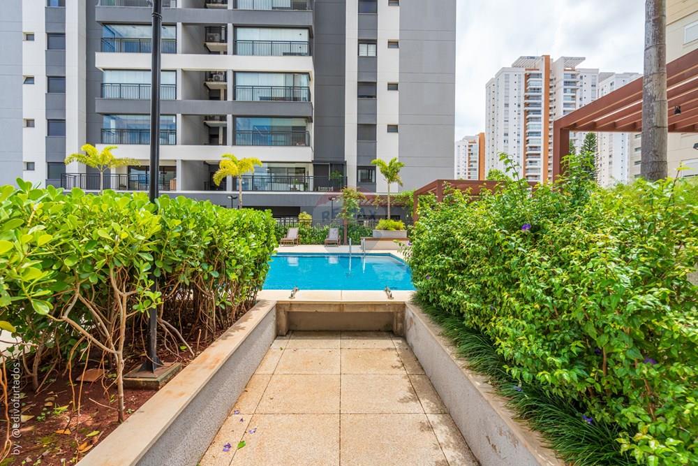 Apartamento - Venda - Campinas , São Paulo - EDI00318EDIVO FURTADO SILVA - RG98002306022 SSPCE - APARTAMENTO - WALTINHO E ADRIANA.jpg - 690681050-237