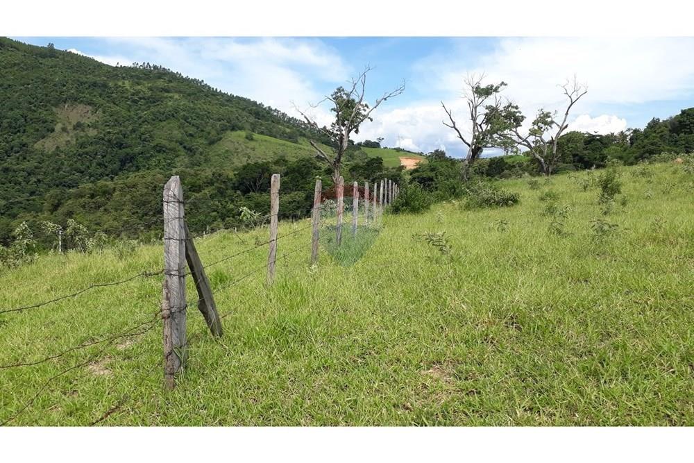 Fazenda - Venda - Serra Negra , São Paulo - 20250211_151245.jpg - 690291056-26