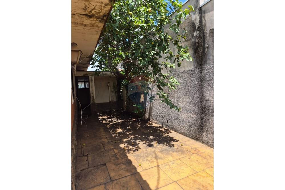 Casa Comercial - Alugar - Campinas , São Paulo - WhatsApp Image 2026-01-28 at 12.01.24.jpeg - 690681197-21