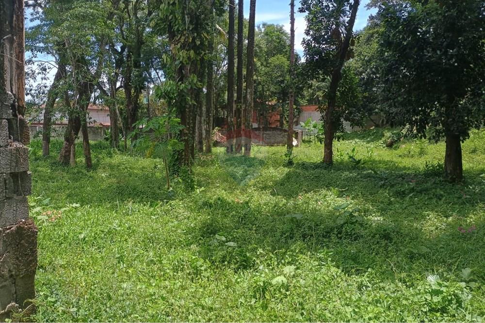 Terreno - Venda - São Sebastião , São Paulo - WhatsApp Image 2026-02-19 at 11.06.39 (4).jpeg - 690991070-2