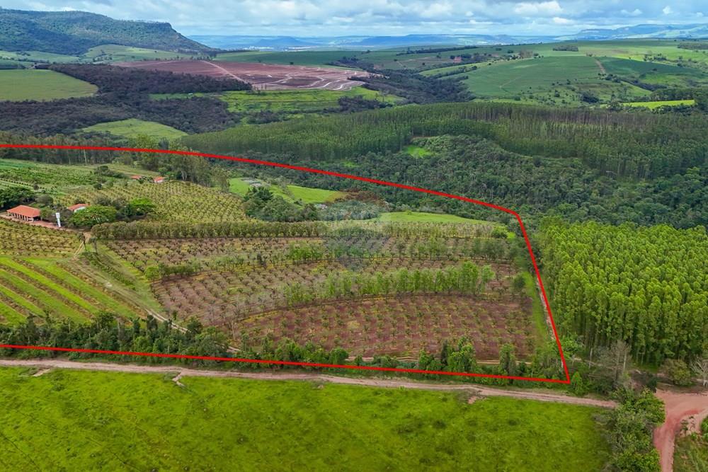 Fazenda - Venda - Analândia , São Paulo - Tratada - Drone-5.jpg - 690691016-305
