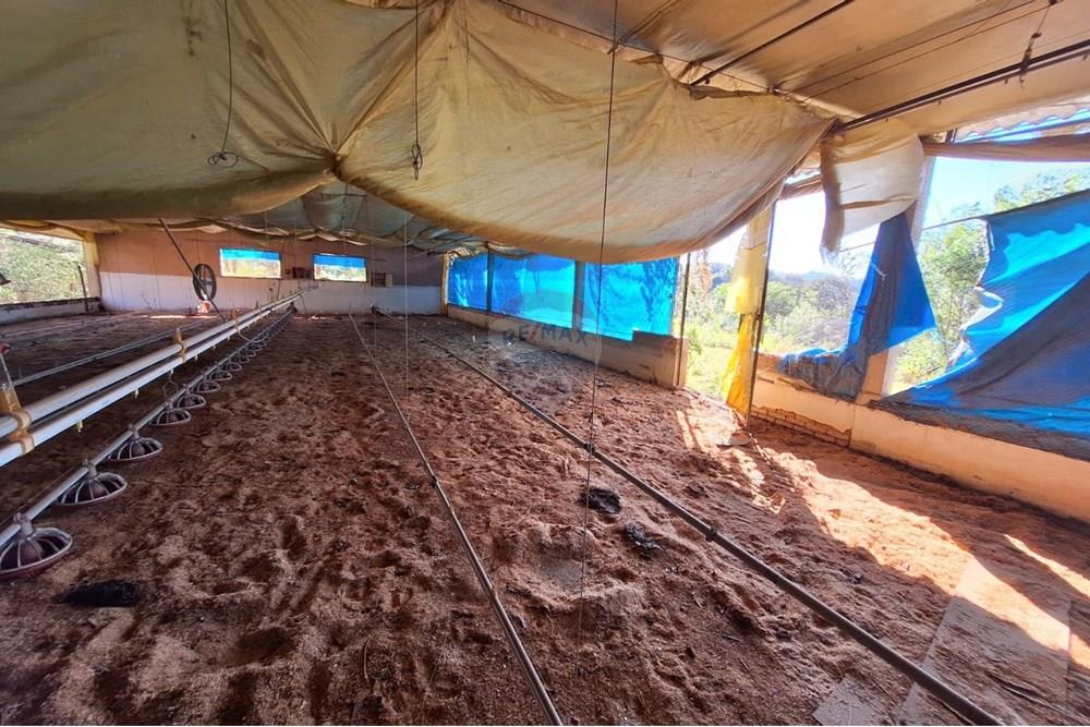 Chácara / Sítio / Fazenda - Venda - Itapira , São Paulo - 9ad57a75-d819-4a27-a970-08477aea2870.jpg - 690751048-290