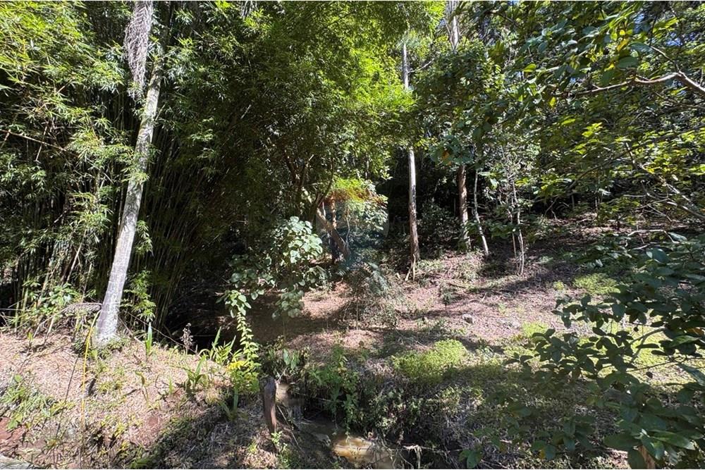 Chácara / Sítio / Fazenda - Venda - Joanópolis , São Paulo - photo_5019343269280201178_y.jpg - 690041001-120