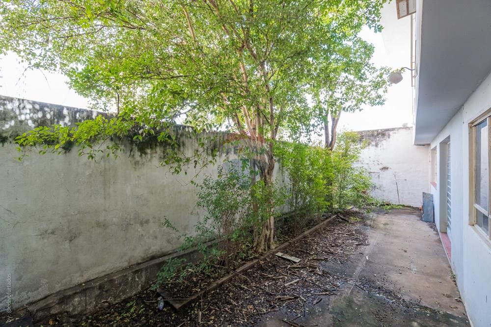 Casa - Venda - Campinas , São Paulo - EDI01989EDIVO FURTADO SILVA - RG98002306022 SSPCE - CASA DE RUA - RENATA SERPA.jpg - 690681182-13