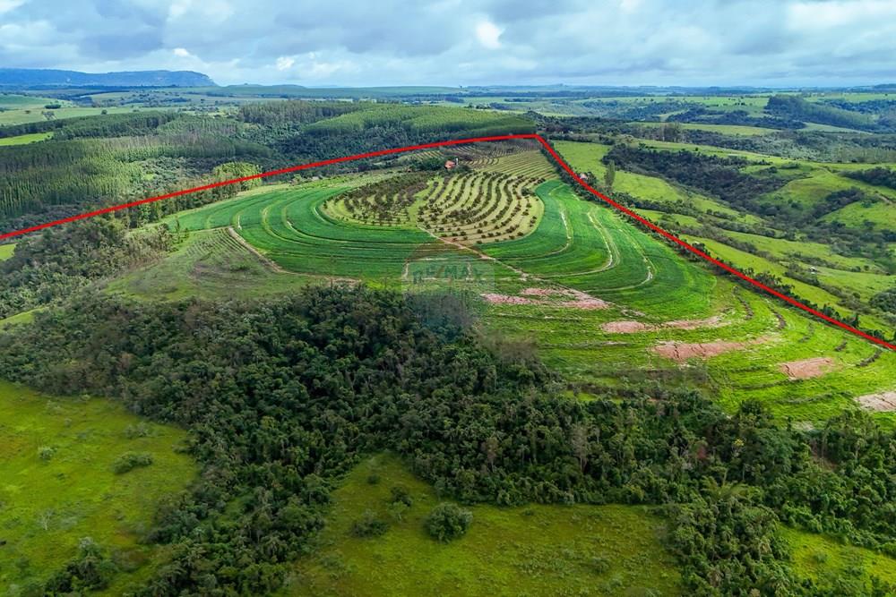 Fazenda - Venda - Analândia , São Paulo - Tratada - Drone-15.jpg - 690691016-305