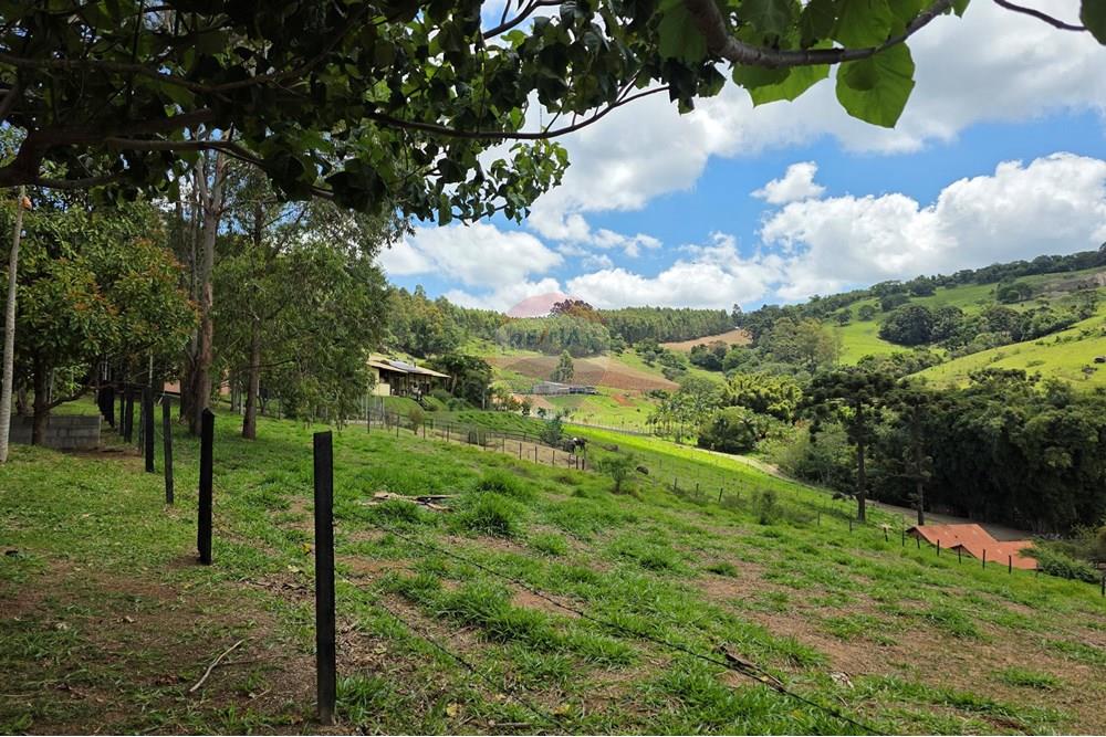 Chácara / Sítio / Fazenda - Venda - Pedra Bela , São Paulo - 20251111_125805.jpg - 690041041-48