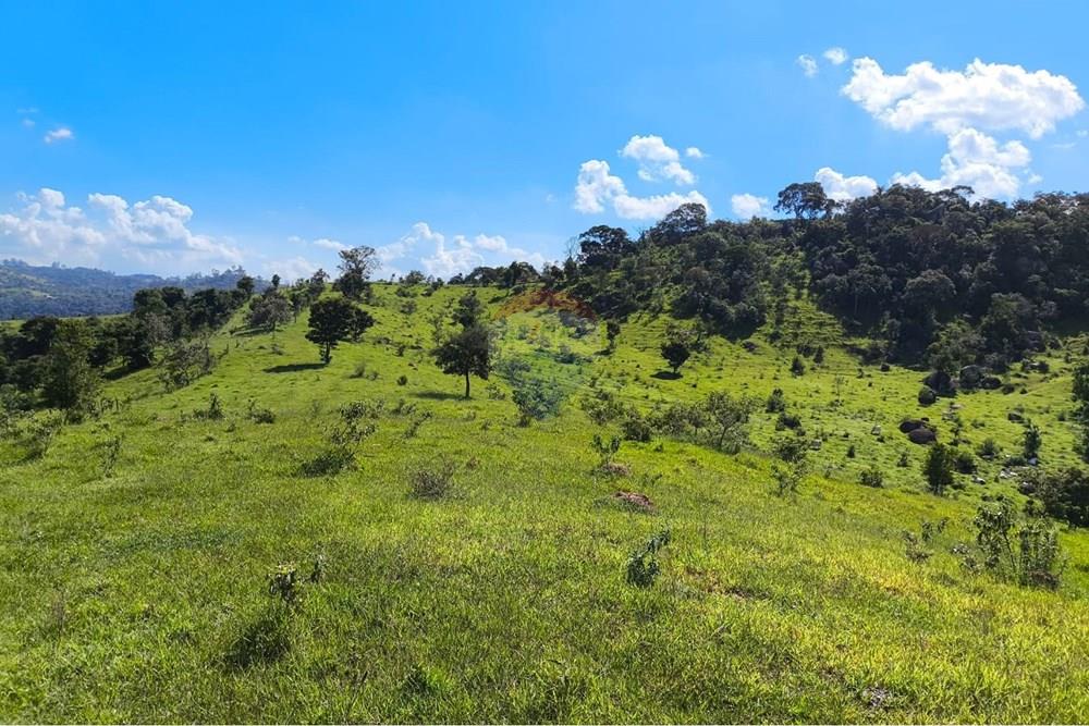 Chácara / Sítio / Fazenda - Venda - Morungaba , São Paulo - WhatsApp Image 2026-03-05 at 17.26.22 (3).jpeg - 691131002-3