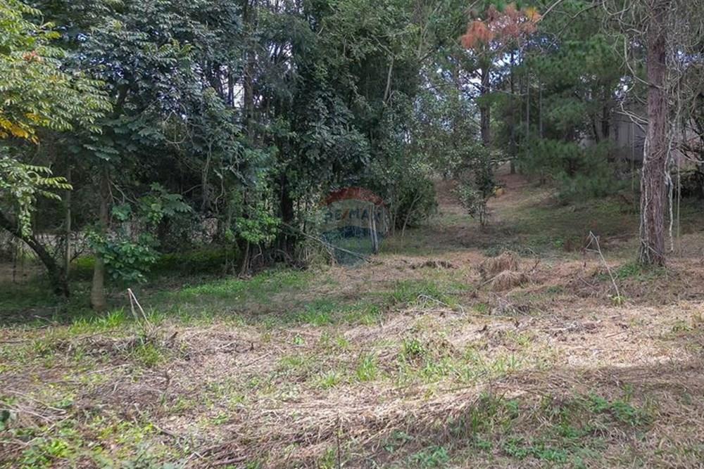 Terreno - Venda - Valinhos , São Paulo - 1 - 691091001-208