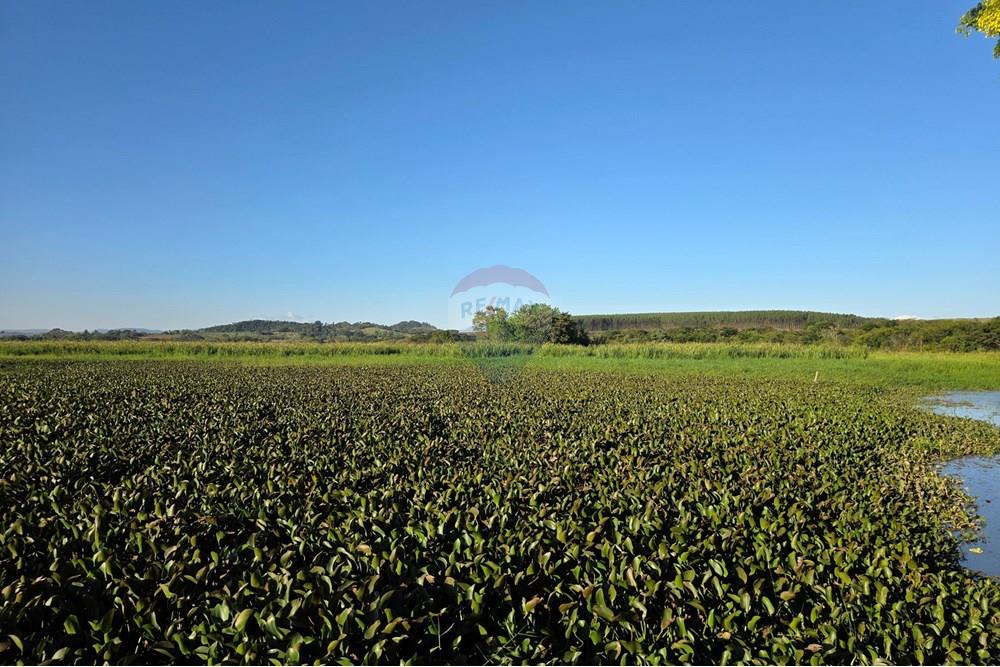 Chácara / Sítio / Fazenda - Venda - Itapira , São Paulo - 20250520_162321.jpg - Área Gourmet - 690521005-81