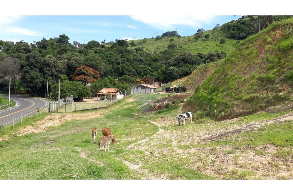 Fazenda - Venda - Serra Negra , São Paulo - 20250211_150729.jpg - 690291056-26