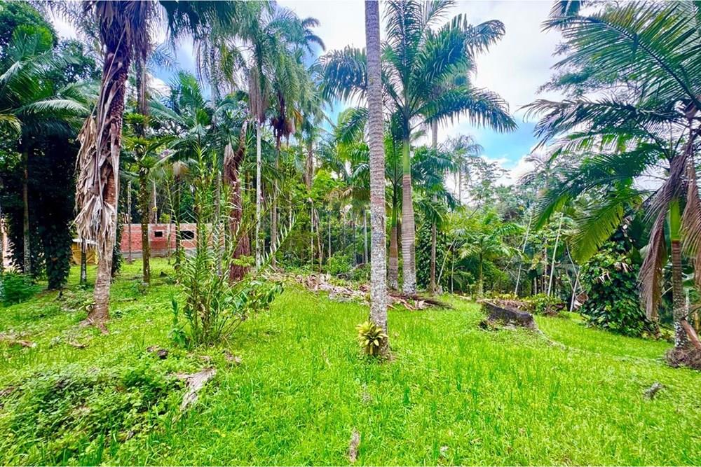 Terreno - Venda - Peruíbe , São Paulo - WhatsApp Image 2026-01-15 at 14.40.40 (3).jpeg - 691111009-61