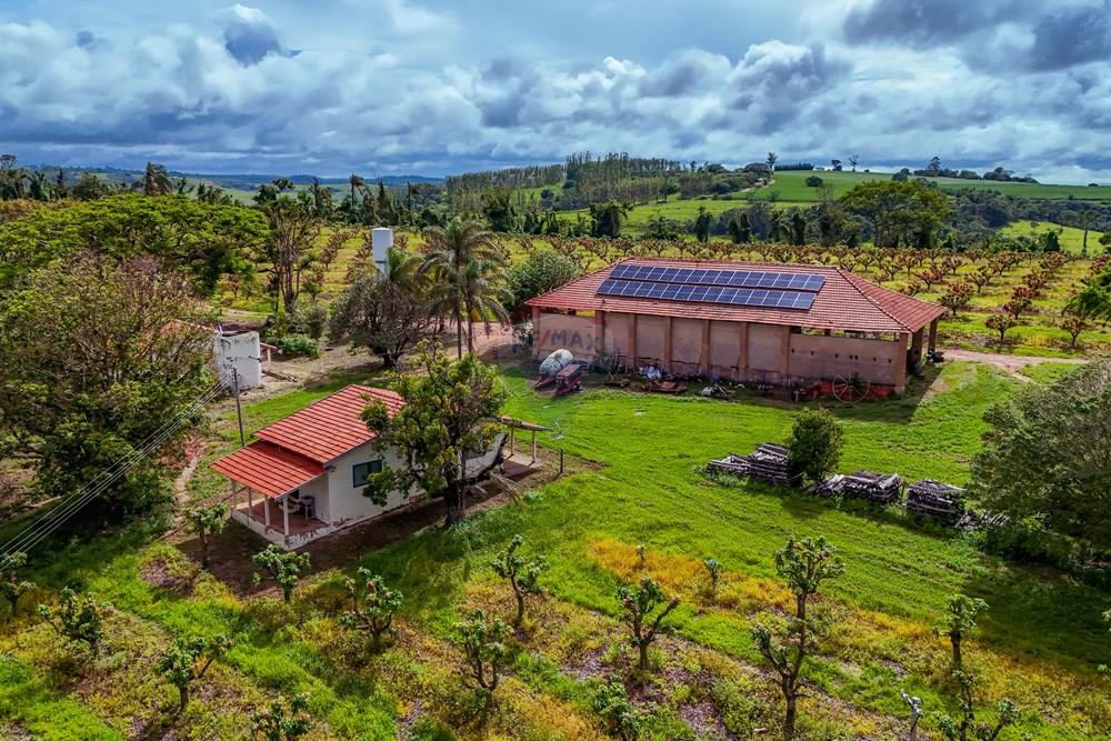 Fazenda - Venda - Analândia , São Paulo - Tratada - Drone-55.jpg - 690691016-305