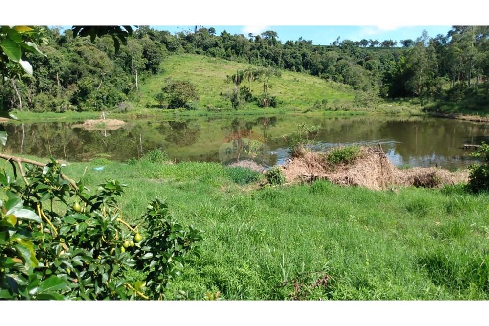 Fazenda - Venda - Campestre , Minas Gerais - 8283ad21-7f76-4b52-86cc-bd6c988b59b3.jpg - 690291077-293