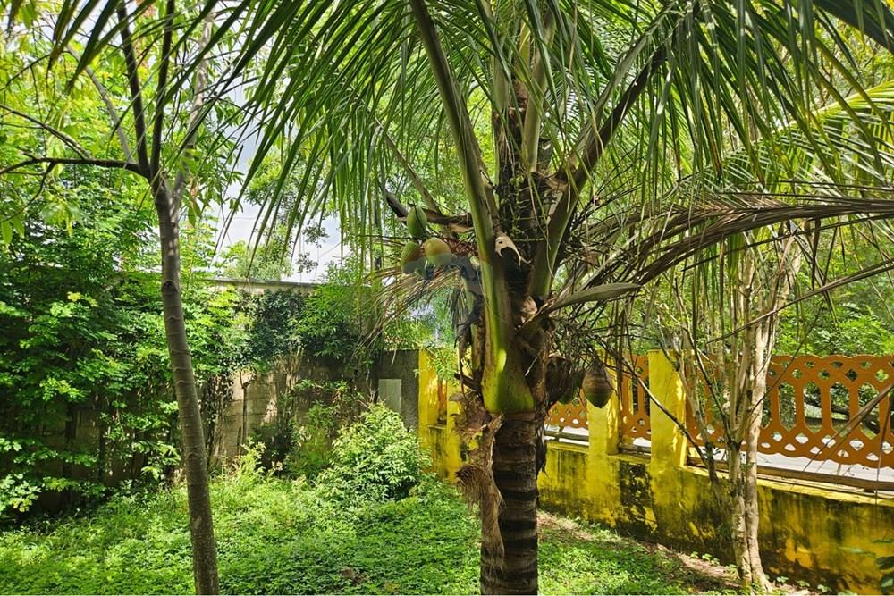 Casa de Condomínio - Alugar - Vinhedo , São Paulo - WhatsApp Image 2026-01-13 at 17.19.10.jpeg - 690681046-164