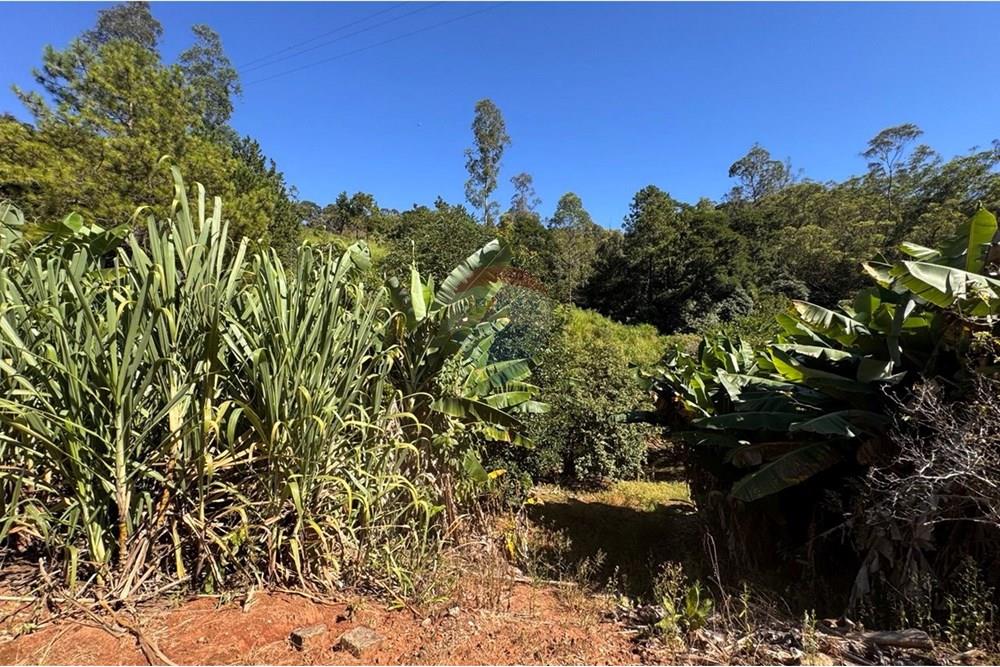 Chácara / Sítio / Fazenda - Venda - Joanópolis , São Paulo - photo_5019343269280201175_y.jpg - 690041001-120