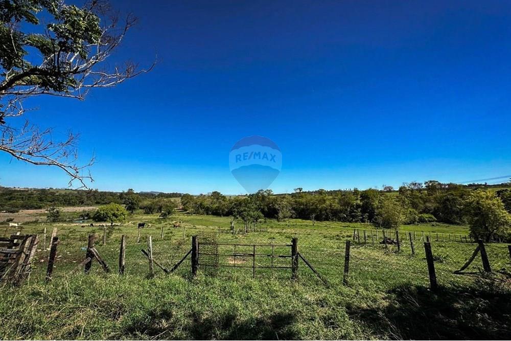 Agro - Venda - Rio Claro , São Paulo - WhatsApp Image 2025-11-13 at 18.18.15.jpeg - 690901035-38