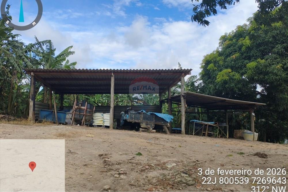 Fazenda - Venda - Jacupiranga , São Paulo - WhatsApp Image 2026-03-02 at 20.10.38.jpeg - 690061037-12