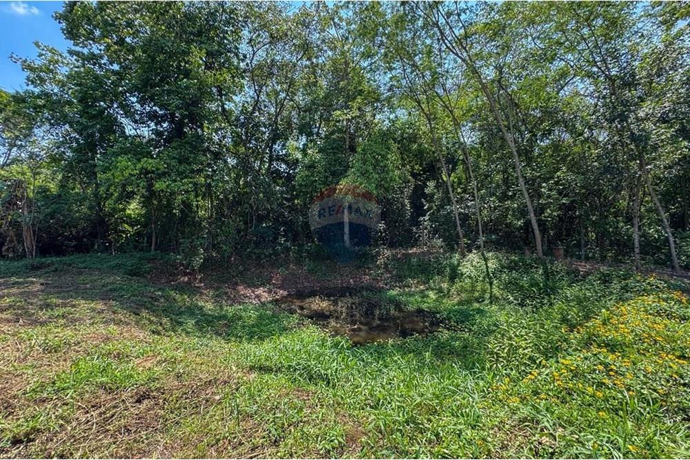 Terreno - Venda - Estiva Gerbi , São Paulo - WhatsApp Image 2025-10-18 at 11.25.55.jpeg - 690521005-176