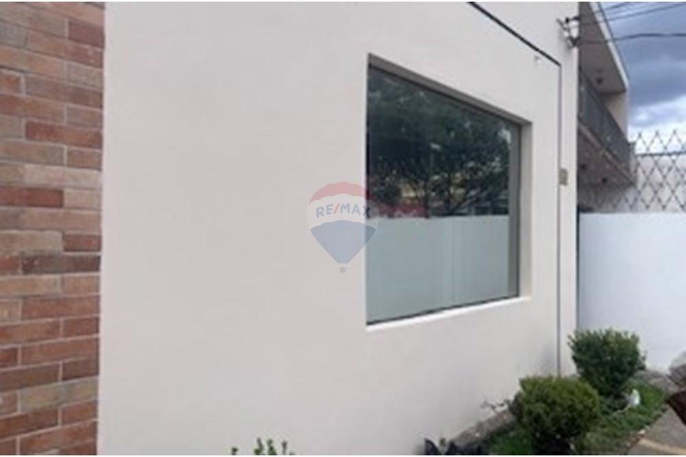 Casa Comercial - Alugar - Campinas , São Paulo - IMG_7642.jpg - 690681046-100