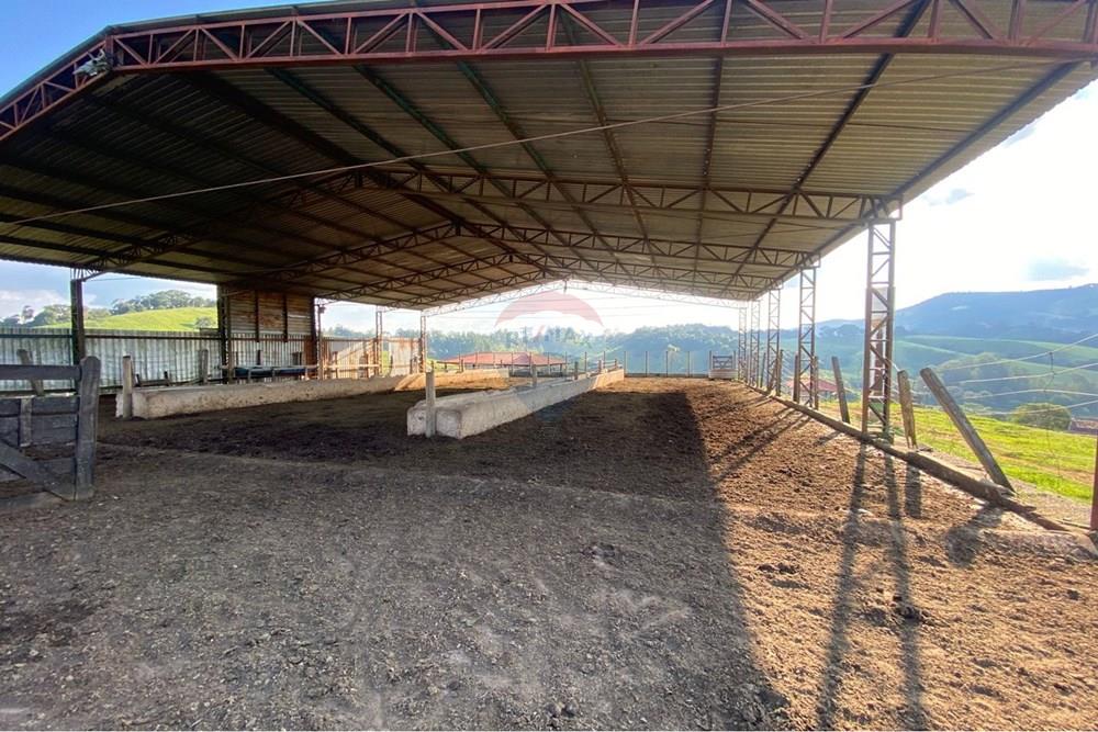 Chácara / Sítio / Fazenda - Venda - Socorro , São Paulo - WhatsApp Image 2026-03-04 at 13.32.22 (3).jpeg - 690041167-12