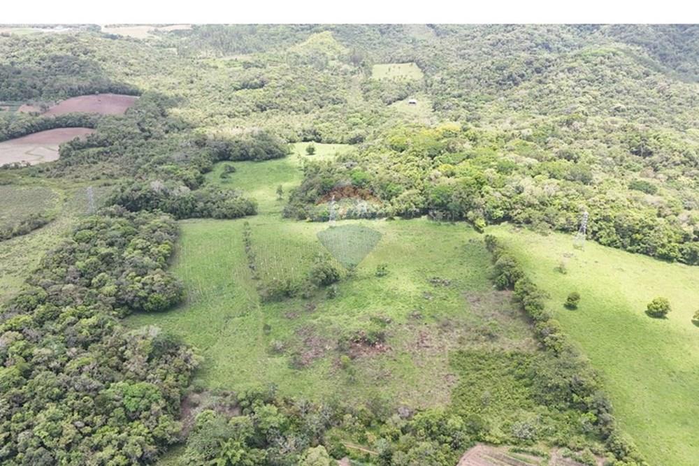 Fazenda - Venda - Pariquera-Açu , São Paulo - WhatsApp Image 2026-03-18 at 16.42.14 (3).jpeg - 690061038-24