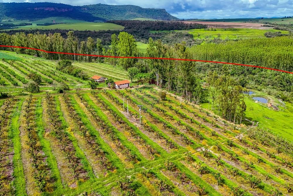 Fazenda - Venda - Analândia , São Paulo - Tratada - Drone-50.jpg - 690691016-305