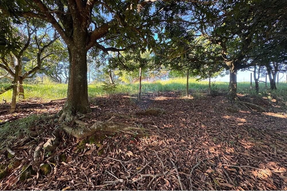 Terreno - Venda - Bragança Paulista , São Paulo - H - Foto Terreno Portal Barragem Jacareí 28.jpg - 690041052-92