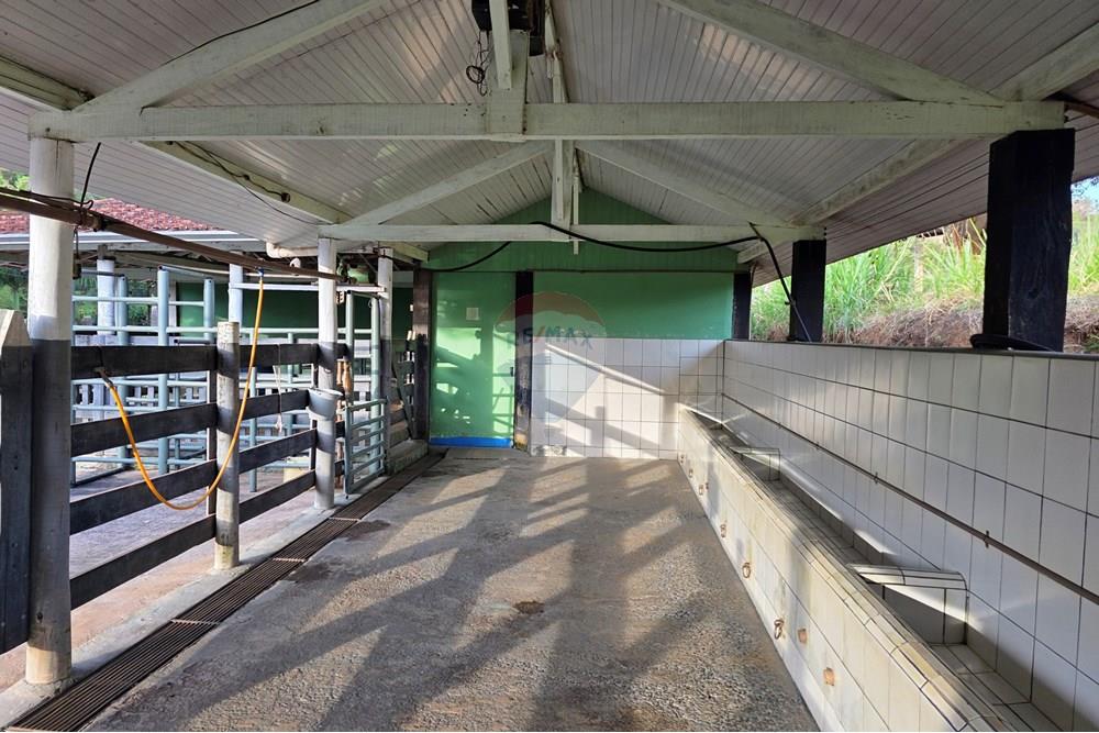 Chácara / Sítio / Fazenda - Venda - Itapira , São Paulo - 20250902_171154(1).jpg - 690521005-184