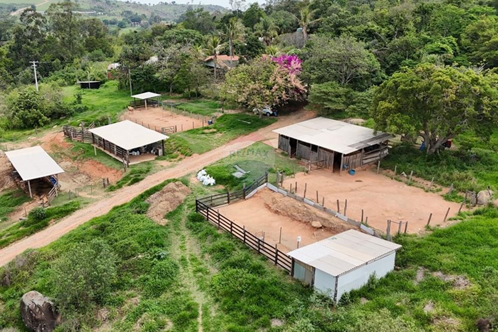 Chácara / Sítio / Fazenda - Venda - Pedreira , São Paulo - DJI_20251114125456_0046_D.JPG - 690671004-418
