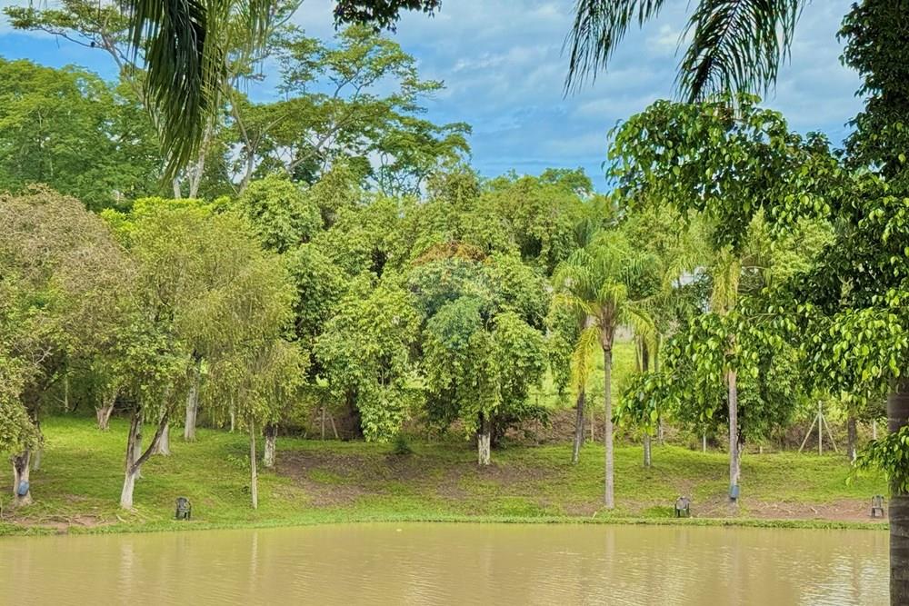 Terreno - Venda - Piracicaba , São Paulo - IMG_1751.JPG - 690781102-69