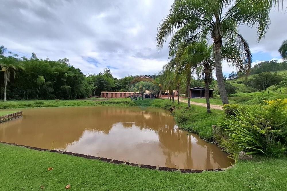 Chácara / Sítio / Fazenda - Venda - Amparo , São Paulo - 20260121_140339.jpg - 690681090-49