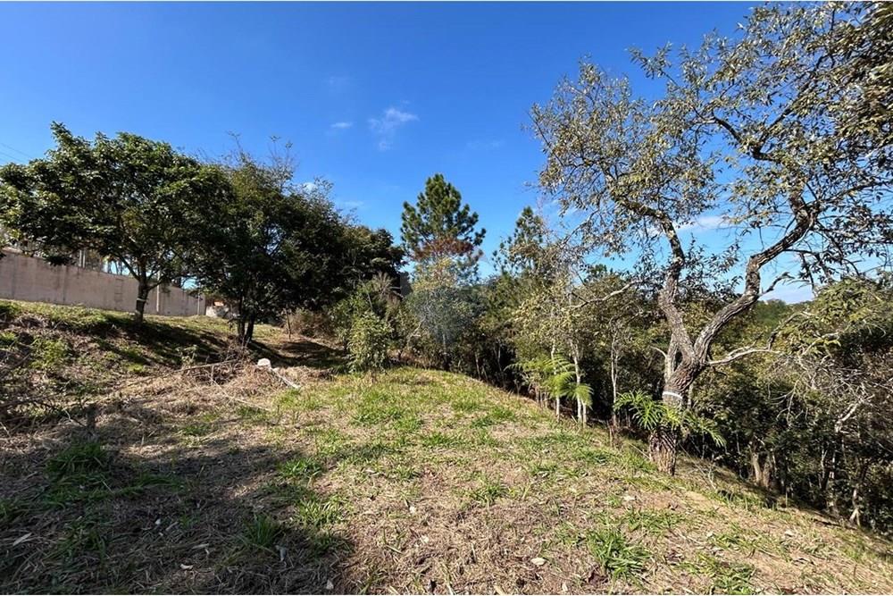 Terreno - Venda - Jarinu , São Paulo - IMG-20250819-WA0029.jpg - 690661027-137