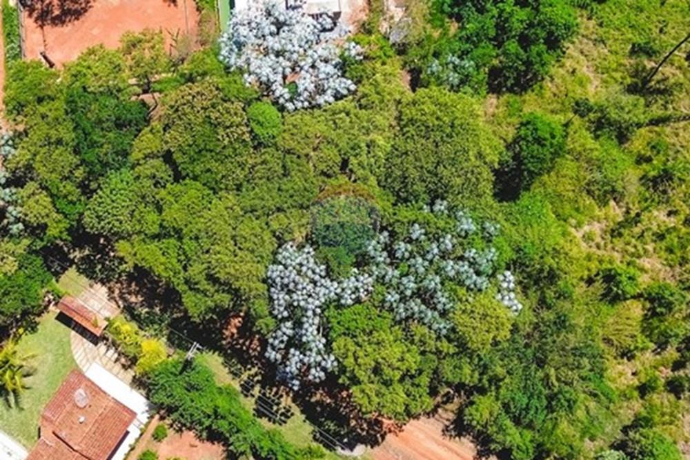 Terreno - Venda - Piracaia , São Paulo - dji_fly_20251127_100650_920_1764648853104_photo_optimized.jpg - 691011009-44
