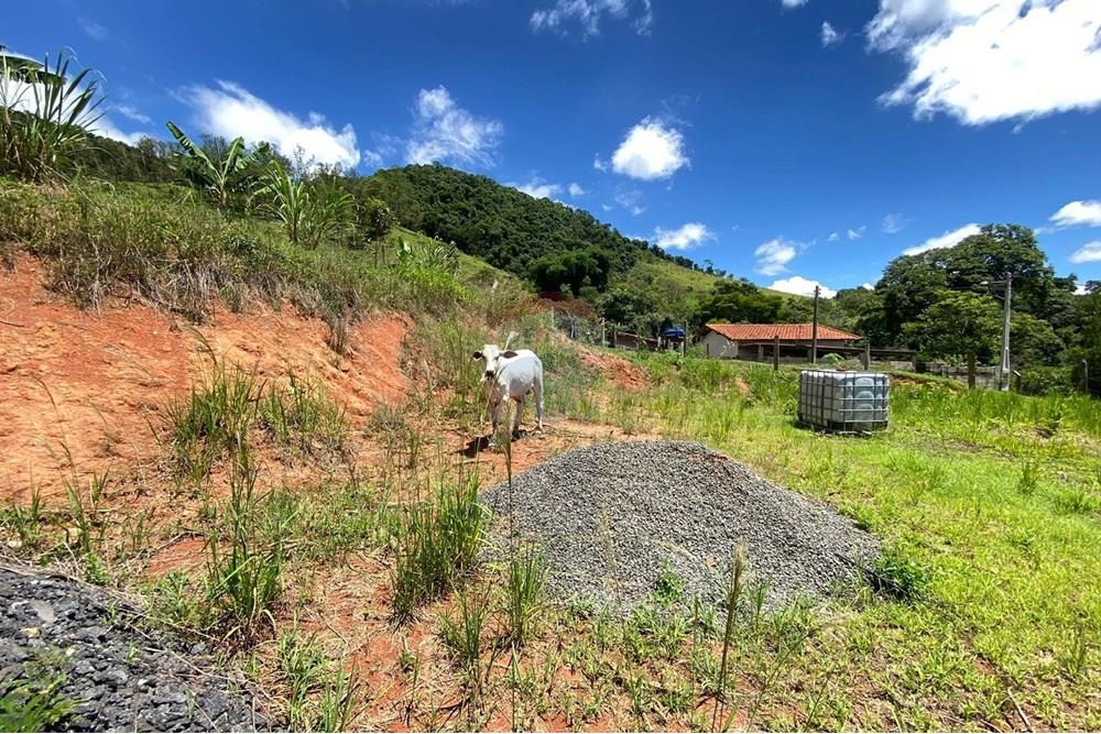 Chácara / Sítio / Fazenda - Venda - Lindóia , São Paulo - Imagem do WhatsApp de 2025-02-25 à(s) 19.33.41_e09ad70d.jpg - 690291077-296