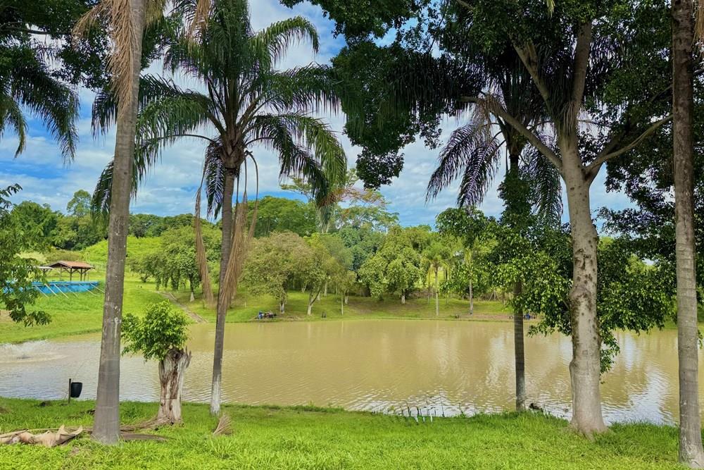 Terreno - Venda - Piracicaba , São Paulo - IMG_1750.JPG - 690781102-69