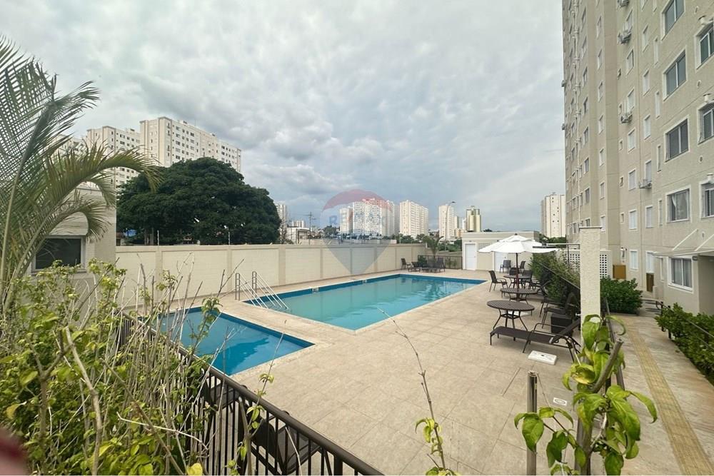 Apartamento - Alugar - Campinas , São Paulo - WhatsApp Image 2026-01-12 at 16.32.42.jpeg - 691181019-8