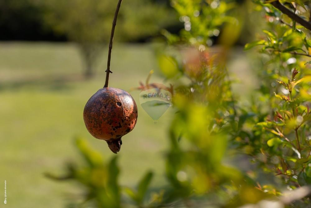Casa de Condomínio - Venda - Vinhedo , São Paulo - TKD-16966.jpg - 690941020-106