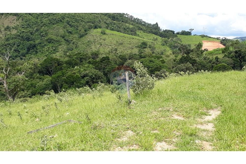 Fazenda - Venda - Serra Negra , São Paulo - 20250211_151507.jpg - 690291056-26