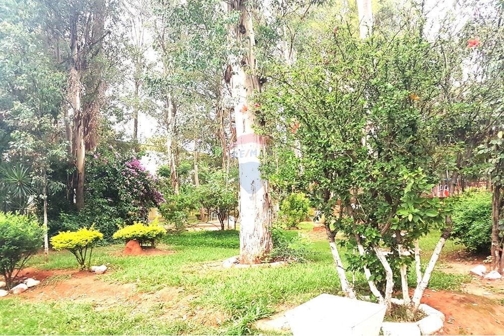 Apartamento - Venda - Campinas , São Paulo - 20190214_192414a.jpg - 690511257-3