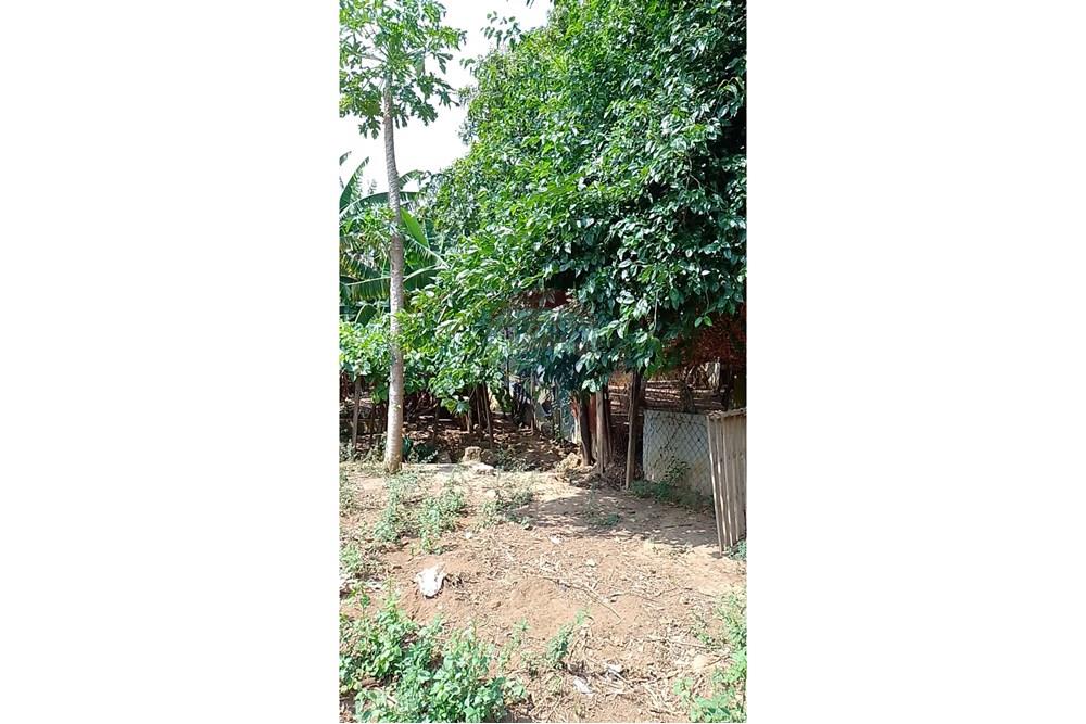 Terreno - Venda - Cosmópolis , São Paulo - fachada (11).jpg - Jardim Interno - 690511357-364