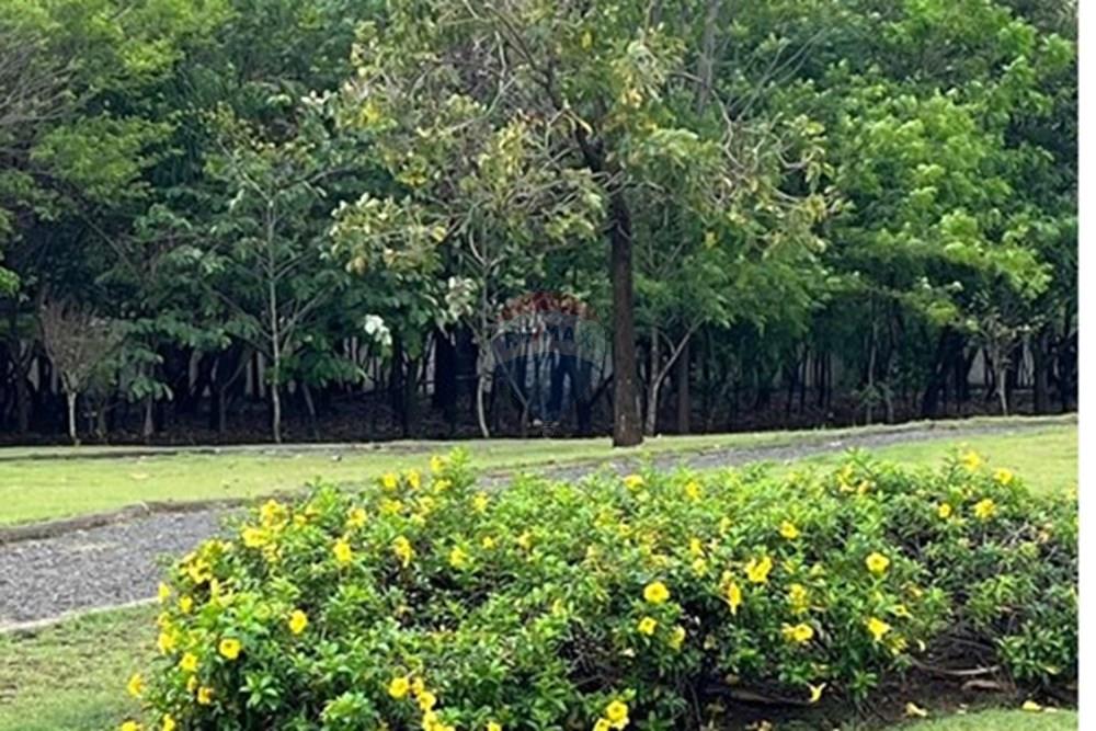 Casa - Alugar - Paulínia , São Paulo - 4f15e30f-d70e-4236-8c2b-7cacfc0007e1.jpg - 690511143-114