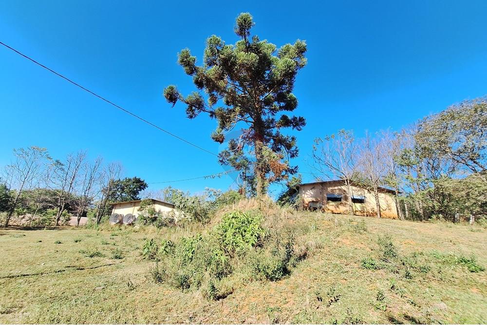 Chácara / Sítio / Fazenda - Venda - Itapira , São Paulo - 20250626_100552.jpg - 690751048-290