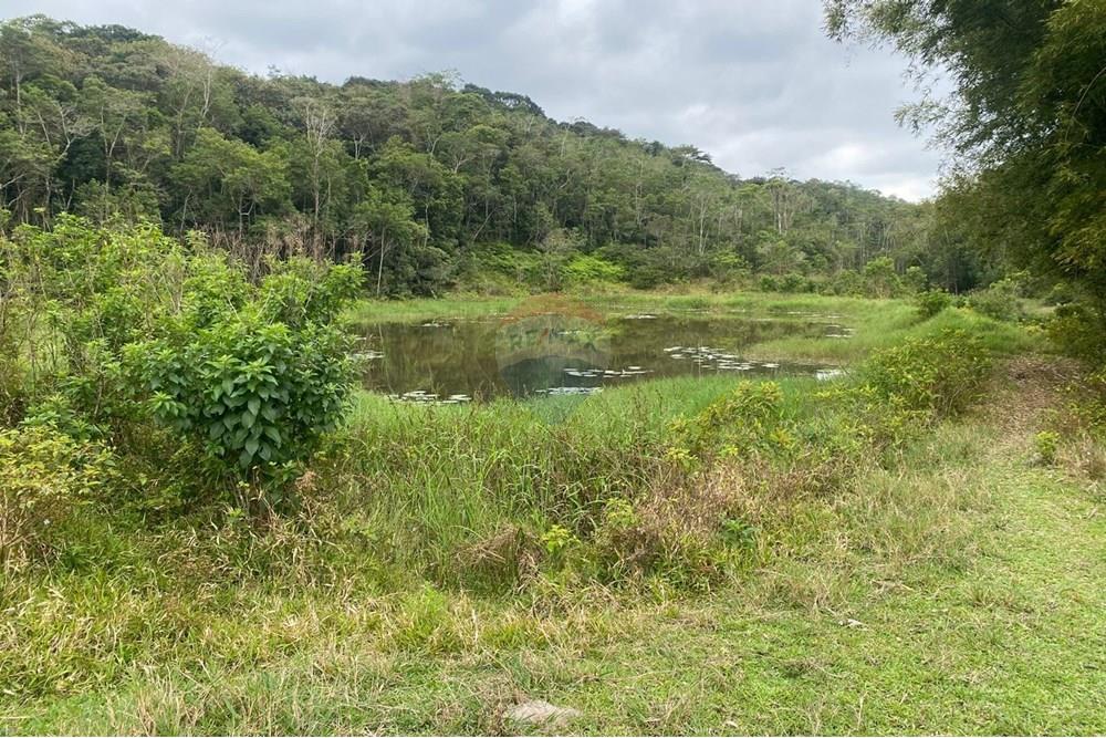 Fazenda - Venda - Registro , São Paulo - Imagem do WhatsApp de 2025-11-22 à(s) 14.07.00_9c5895c4.jpg - 690061038-16
