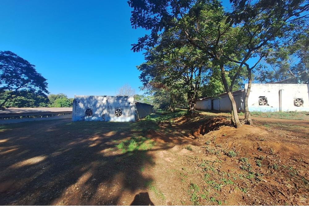 Chácara / Sítio / Fazenda - Venda - Conchal , São Paulo - 20250617_141133(1).jpg - 690751019-291